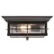 Westinghouse Fixture Ceiling Outdr Flush-Mount 60W 2-Light Orwell 11In ORB H-Lights Clear Sd Glass 6578400 - alternate 1
